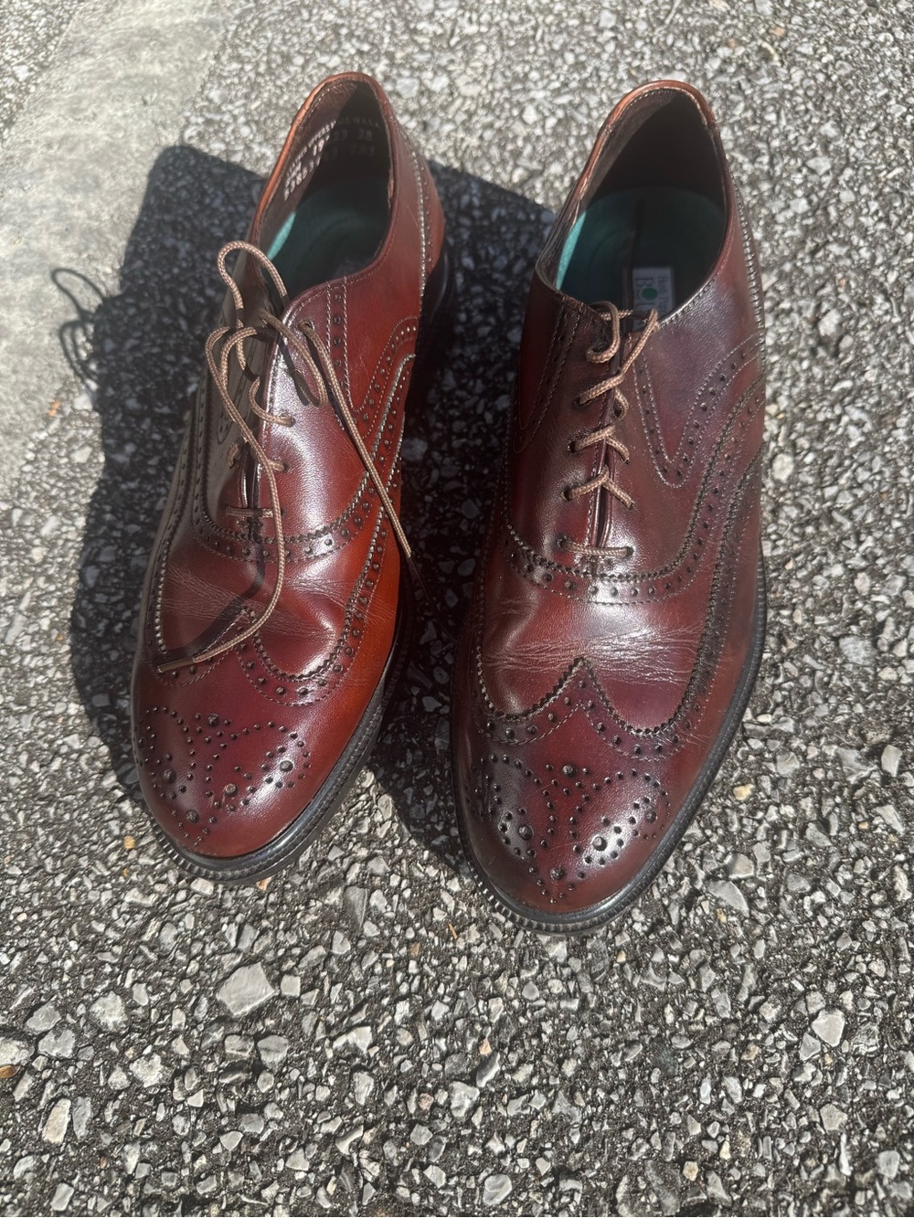 Hush Puppies Men's Burgundy Brown Wingtip Brogues